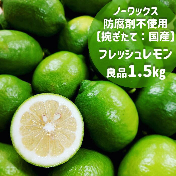 レモンについて 当店の 国産レモン の 産地 は 広島県 大崎上島 にて ハウス栽培された グリーンレモン です。 農家指定 しているので 商品の基準にブレがなく、安心できれいなことはもちろん 防腐剤不使用 , 減農薬 の 安全 で フレッシュ な捥ぎたて レモン をお届けします レモンの楽しみ方 【これからの季節のおすすめ】 まずは、レモンが届いたら、 皮目に爪で少しキズを付けて フレッシュ な 香り をお楽しみください！！ 鮮度抜群 の レモン ならではの フレッシュ感 に癒されること間違いナシです。 熱い夏には、 カットレモン を水に浸すだけで 爽やかな香りと、スッキリした後味の 「 レモンウォーター 」がおススメです！！ 防腐剤不使用 ・ 減農薬 レモン だから 安心 して出来る逸品 爽やかな レモン の 香り が口に広がります！！ ※重要なポイント グリーンレモン の皮は食べると苦みが強いですが、 イエローレモン より 爽やかな香り が強いのが特徴です。 お菓子の加工用には少し不向きですが、 皮目を絞ったり、皮を削って爽やかな香りを添えることで楽しむことが出来ます。 口に付けない部分のコップの淵に皮目を擦ると、 これまでに感じたことが無いほど料理やドリンクの風味をアップさせることが出来ます。 酎ハイ や ハイボール 、揚げ物 、 焼き魚 に是非試してみて下さい！！ そして、 炒め物 に絞ると夏バテ解消！！ メチャクチャ食欲をそそる逸品になりますので、試してみてください！！ 当店のこだわり 一、獲れたて の フレッシュレモン を届けたい！！ 　生産量日本一 の 広島県 でも6月〜10月は レモン の収穫は出来ません。この時期に、スーパーで見かけるレモンは長期保存している レモン です。 国産レモン といえど フレッシュ感 がありません。 しかし、 レモン は何と言っても「 皮が命 」です！！ 皮 から溢れる汁にこそ 香り成分 が含まれています。 ハウス で温度管理を徹底的に行うため、 この季節でも フレッシュ な レモン をお届け致します。 一、収穫、選別、箱詰めを、全て手作業で 　　　行うため、 レモン に ストレス を与えない！！ 　市場に集めれる レモン は、自動選別機を通したりと レモン に多くの振動や、時間を要するため、品質が劣化してしまいます。文田さんはキズや打ち身が付かないよう細心の注意を払い、手摘み、手選別にこだわり、極力レモンにストレスを与えないようにしています。（ノーワックス） ※収穫量や、ご注文量によりご指定日にお届け出来ない場合がございます。