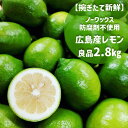 単一農家による厳選品質 国産 レモン 送料無料 レモン 広島産 2.8k【26玉~35玉入】フレッシュ 果汁 傷なし 同梱無料 ビタミン補給 スムージー 鮮度抜群 健康維持 レモン果汁 防腐剤 不使用 ノーワックス 青レモン 防腐剤不使用