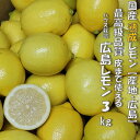 送料無料 ハウス 熟成 レモン 国産 ( 広島 ) 3kg 【25玉〜30 玉入】フレッシュ レモン 防腐剤不使用 減農薬 皮まで安心して使える レモン 大崎上...