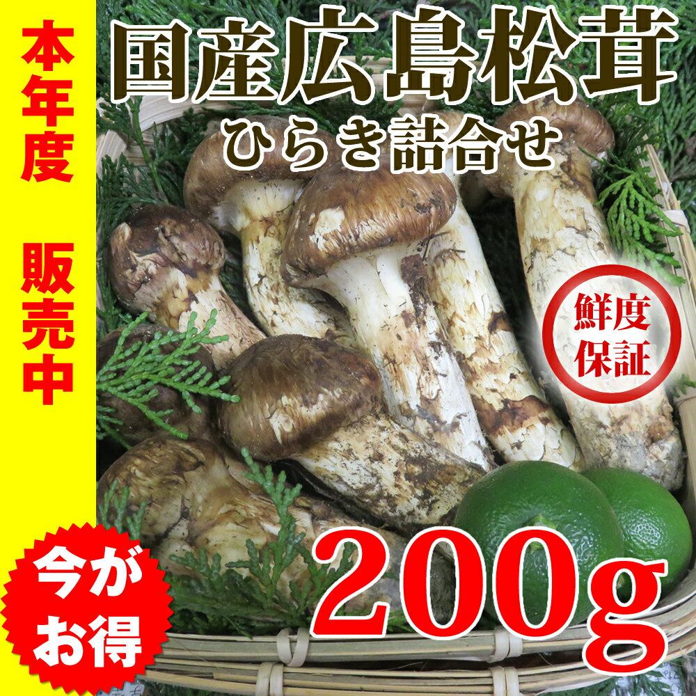 最終価格 島直送 鮮度重視 贈答用 送料無料 国産松茸 詰合 200g 秋の味覚 松茸 広島 名産 松茸 贈答品 松茸ご飯 松茸 土瓶蒸し まつたけ 高級品 ギフトのサムネイル