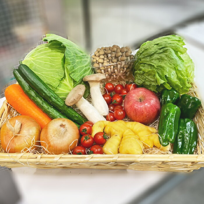 【送料無料】テレワーク支援セットSサイズ 厳選10品目+季節の野菜3品入り野菜セット