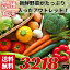 【お買い物マラソン】送料無料！【豊洲市場アウトレット福袋】　新鮮！豊洲旬の野菜詰め合せ・おまかせ詰め合わせ10品セット　送料無料　野菜BOX　旬厳選ギフト　食材新鮮在宅応援　お取り寄せグルメ　訳あり　わけあり　ワケアリ