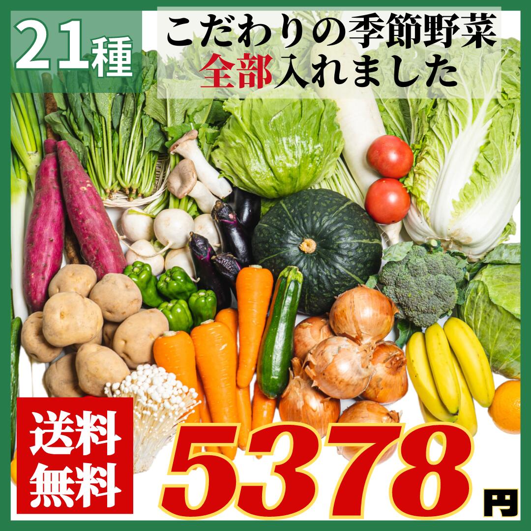 楽天【築地通販】おいしいなショップ【送料無料】豊洲市場直送　新鮮　野菜セット 常備野菜 x 季節野菜 詰め合わせ 豊洲市場直送 大入り おまかせ 旬の野菜セット 旬の野菜詰め合せ・おまかせ詰め合わせセット！　鍋　お得なセット！