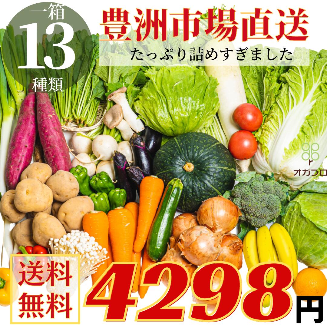 【送料無料】新鮮！野菜セット　常備野菜　季節野菜 詰め合わせ 13種 豊洲市場直送 大入り おまかせ 旬の野菜セット …