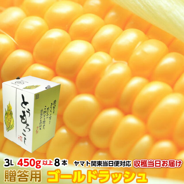 送料無料 ギフト とうもろこし トウモロコシ ゴールドラッシュ 約3.6kg 3L 450g以上 8本 茨城県 朝採り 当日出荷