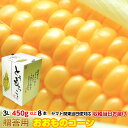 送料無料 ギフト 甘い とうもろこし トウモロコシ おおもの 約3.6kg 3L 450g以上 8本 茨城県 朝採り 朝どれ 当日出荷 お取り寄せ corn