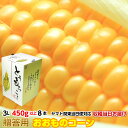 送料無料 ギフト とうもろこし トウモロコシ 味来 約3.6kg 3L 450g以上 8本 茨城県 産地直送 朝採り 当日出荷 その1