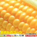 とうもろこし 茨城県 トウモロコシ 送料無料 朝採り おおもの 2L 350g以上10〜12本4kg 収穫日出荷 離島除く東京+7県は即日お届け 甘い ギフト お中元