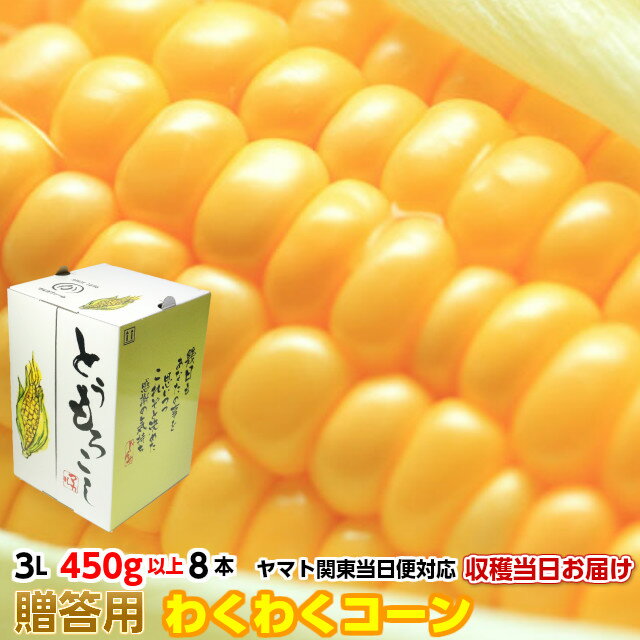 送料無料 ギフト とうもろこし トウモロコシ わくわく 約3.6kg 3L 450g以上 8本 茨城県 産直 朝採り 当日出荷