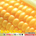 送料無料 とうもろこし 甘い トウモロコシ わくわく 4kg箱 2L 350g以上 10〜12本 茨城県 産直 朝採り 朝どれ 当日出荷 お取り寄せ corn