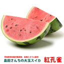   XCJ Mtg gEXCJ M`L 1  Z t[c   Yn watermelon