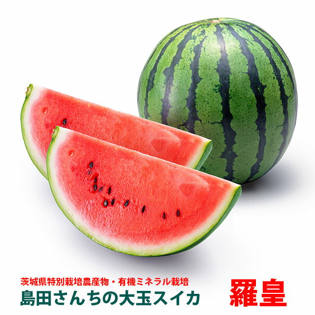 5/23 20 Ź ݥ 10ܡ̵   ե ĥ ML 1   ե롼   ľ watermelon