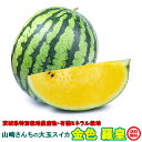 送料無料 黄色 大玉 スイカ 甘い ギフト 金色羅皇 すいか 2L以上 1玉 西瓜 フルーツ 茨城 お取寄せ watermelon(4)