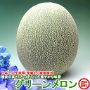 お中元 メロン グリーンメロン 3L〜4L 2玉 茨城 送料無料 数量限定 ギフト フルーツ 贈答用 贈り物 melon