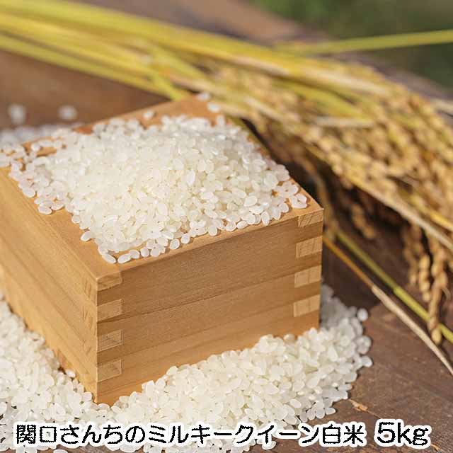 無農薬栽培米令和7年関口さんちのミ...