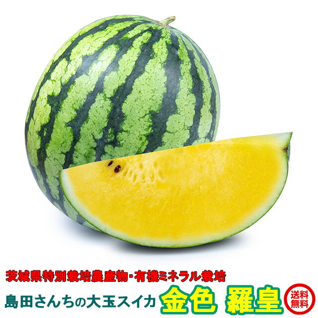 島田さんちの金色羅皇スイカ2L以上1玉送料無料 黄色 大玉 甘い ギフト すいか 西瓜 フルーツ 茨城 お取寄せ watermelon