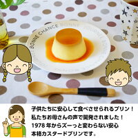 タマゴプリン40年愛され続けたカスタードプリン