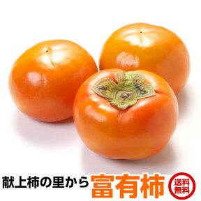 柿 ギフト 富有柿 3L 12玉 約4kg かき 富有 送料無料 贈答用 秋ギフト フルーツ 茨城県産 産地直送 persimmon