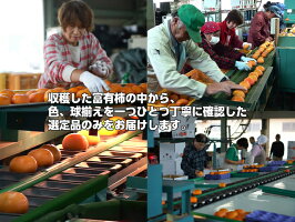 【送料無料】★富有柿L16玉4k箱