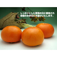 【送料無料】◆皇室献上柿◆完熟特選富有柿L16玉