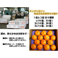 【送料無料】★富有柿L16玉4k箱