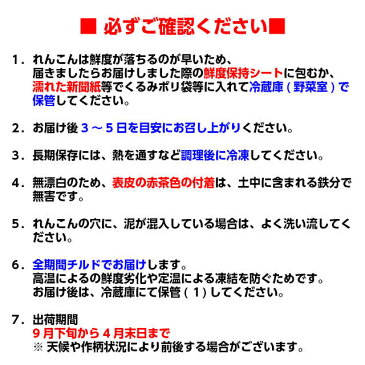 【ハロウィン パーティーに！】れんこん レンコン 蓮根「霞ヶ浦れんこん2kg箱」有機質肥料にこだわって栽培 国産 送料無料 土浦 茨城県 かすみがうら ランキング1位 お歳暮 ギフト