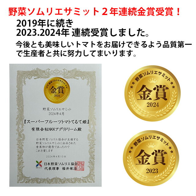 ギフト てるて姫 フルーツトマト スーパーフルーツ トマト 小箱(8～12玉 約800g) とまと 送料無料 贈答用 茨城県 産地直送 3