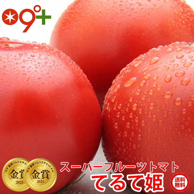 ギフト てるて姫 フルーツトマト スーパーフルーツ トマト 小箱×2(1箱8～12玉 約800g) とまと 送料無料 贈答用 茨城 産直