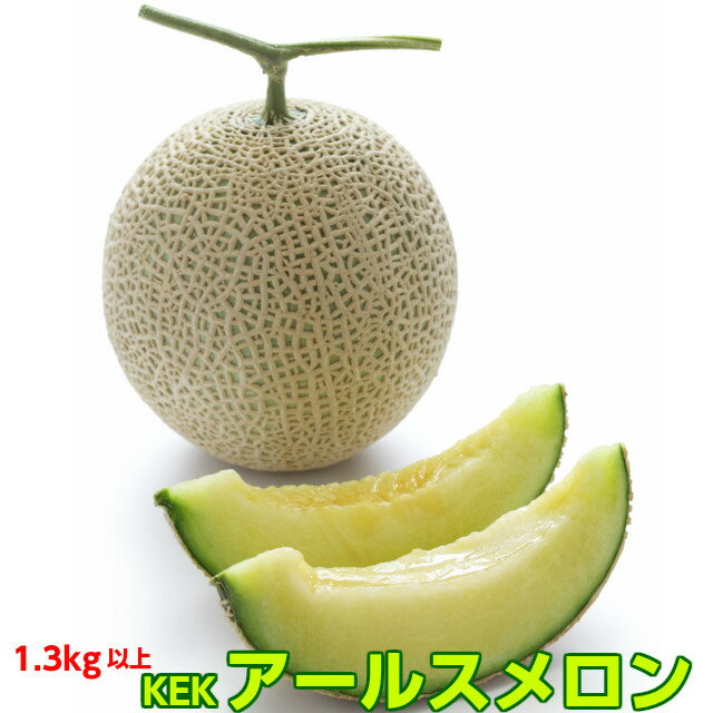 【店内最大 ポイント 20倍】送料無料 数量限定 ギフト メロン アールスメロン 1玉 約1.3kg以上 茨城 秋ギフト フルーツ 贈答用 贈り物 melonのサムネイル