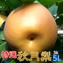 梨 秋月 ギフト なし 完熟 秋月梨 特選 5L以上 3kg箱 送料無料 贈答用 プレゼント 茨城県産 和梨 Japanese pear 父の日