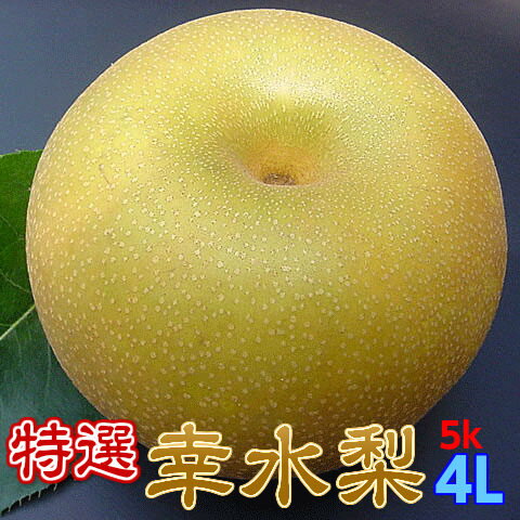 梨 茨城県 なし 幸水 フルーツ 送料無料 特選完熟梨5kg 幸水 4L12玉 1日5箱限定 完熟 ランキング1位 ラジオで紹介 甘い 果物 ギフト お取り寄せ 産地直送のサムネイル