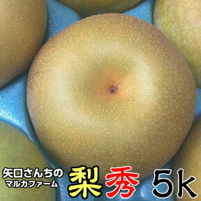 梨 幸水/豊水/新高/新興 なし 完熟梨 (秀) M以上～6L 5kg箱 送料無料 茨城県産 ご自宅用 和梨 Japanese pear