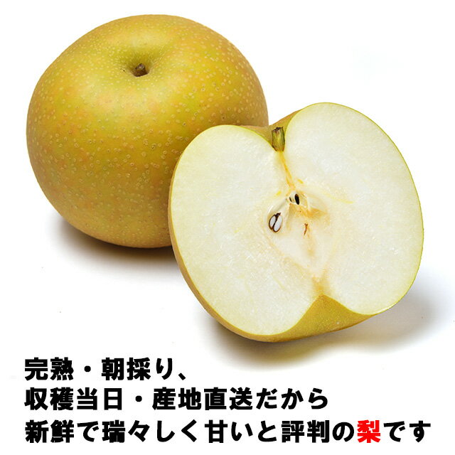  /˭// ʤ  () Mʾ6L 5kgȢ ̵ 븩   Japanese pear