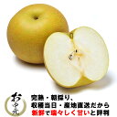 梨 幸水/豊水/新高/新興 なし 完熟梨 (秀) M以上〜6L 5kg箱 送料無料 茨城県産 ご自宅用 和梨 Japanese pear お中元