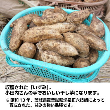 干し芋 ほしいも 無添加 茨城県産「小田内さんちの丸干し芋(いずみ)箱3kg」国産 送料無料 干しいも 干しイモ お取り寄せ グルメ