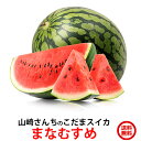   XCJ Mtg gܐZ ܂Ȃނ 2L 2  Z  Yn watermelon