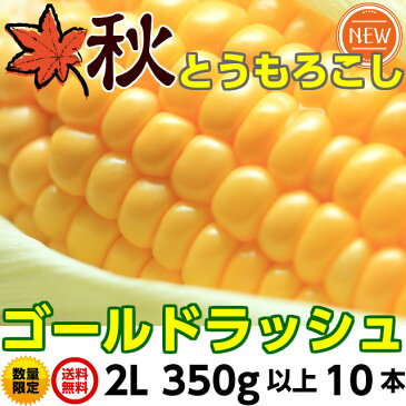 とうもろこし ゴールドラッシュ 送料無料 朝採り 秋 トウモロコシ (ゴールドラッシュ)2L350g以上10本 3.5kg以上 茨城 10月中下旬 朝採り当日産地直送 ギフト