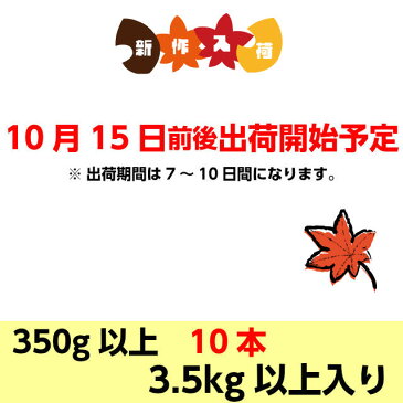 とうもろこし ゴールドラッシュ 送料無料 朝採り 秋 トウモロコシ (ゴールドラッシュ)2L350g以上10本 3.5kg以上 茨城 10月中下旬 朝採り当日産地直送 ギフト