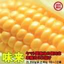 送料無料 とうもろこし 甘い トウモロコシ 味来 4kg箱 2L 350g以上 10〜12本 茨城県 産直 朝採り 朝どれ 当日出荷 お取り寄せ corn