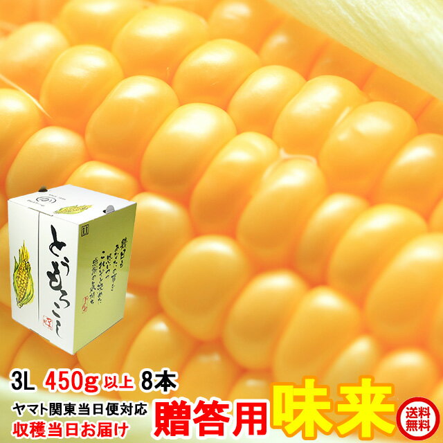 送料無料 ギフト とうもろこし トウモロコシ 味来 約3.6kg 3L 450g以上 8本 茨城県 産地直送 朝採り 当日出荷