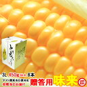 送料無料 ギフト とうもろこし 甘い トウモロコシ 味来 約3.6kg 3L 450g以上 8本 茨城県 産直 朝採り 朝どれ 当日出荷 お取り寄せ corn