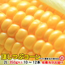 送料無料 とうもろこし 甘い トウモロコシほしつぶコーン 4kg箱 2L 350g以上 10〜12本 茨城県 産地直送 朝採り 朝どれ 当日出荷 お取り寄せ c...