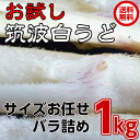 お試し 送料無料 独活 ウド うど 桜井さんちの筑波白うど ...