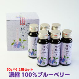 送料無料 ギフト 濃縮100% ブルーベリー 50mg×12本 無添加 (アントシアニン 30mg含有) 茨城県 小美玉 産地直送