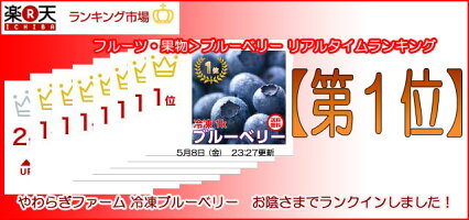 【送料無料】冷凍ブルーベリー1kg茨城県小美玉やわらぎファーム産地直送