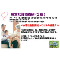 やわらぎファーム【送料無料】冷凍ブルーベリー500g×2