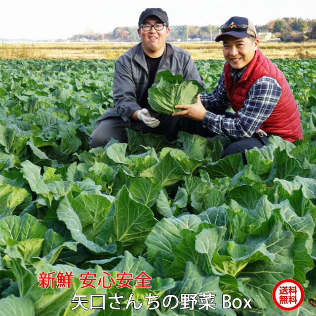 矢口さんちの旬の野菜セット