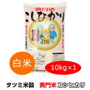 送料無料 米 コシヒカリ こしひかり 黄門米 白米 10kg 令和5年産 ギフト 茨城県 お米 こめ おこめ 常陸太田産