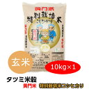 送料無料 米 コシヒカリ こしひかり 黄門米 特別栽培米 玄米 10kg 令和5年産 ギフト 茨城県 お米 こめ おこめ