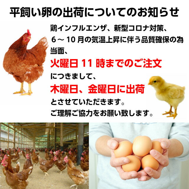 送料無料 卵 やさと 平飼い 卵 M20個 ギ...の紹介画像2